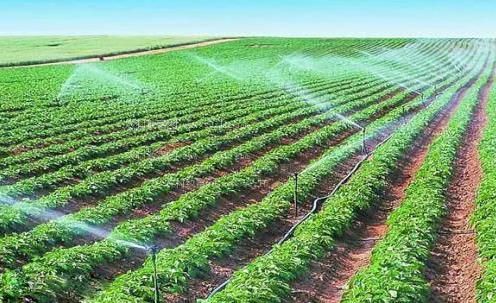 大鸡巴日遍官场系列小说39小说网农田高 效节水灌溉